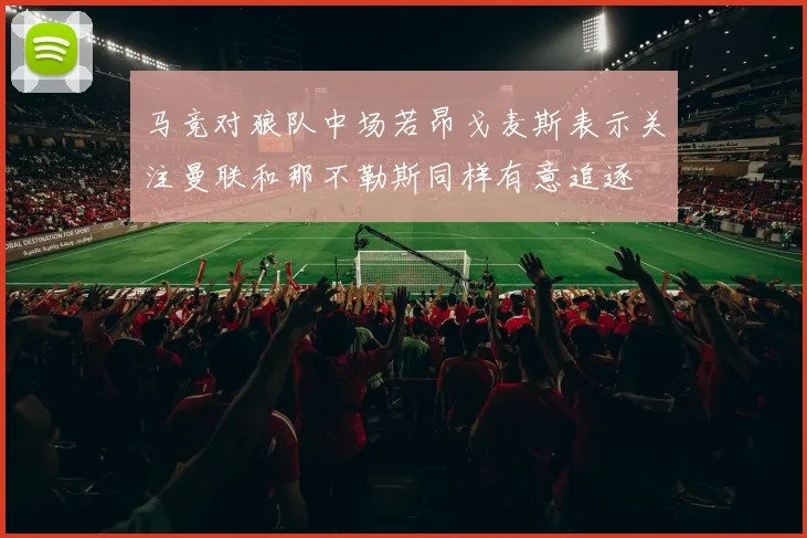 马竞对狼队中场若昂戈麦斯表示关注曼联和那不勒斯同样有意追逐